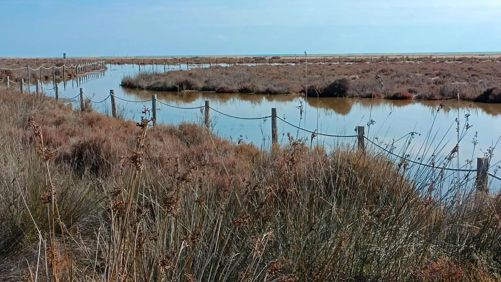 Lägenhet Rincon Del Delta, Apartamento En El Delta Del Ebro, Playa Trabucador Amposta, Tarragona L'Eucaliptus